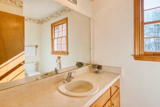 195 Showalter Rd NW, Willis, VA 24380 - bathroom featuring plenty of natural light and vanity
