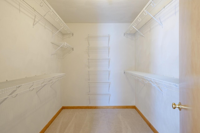 195 Showalter Rd NW, Willis, VA 24380 - walk in closet with carpet