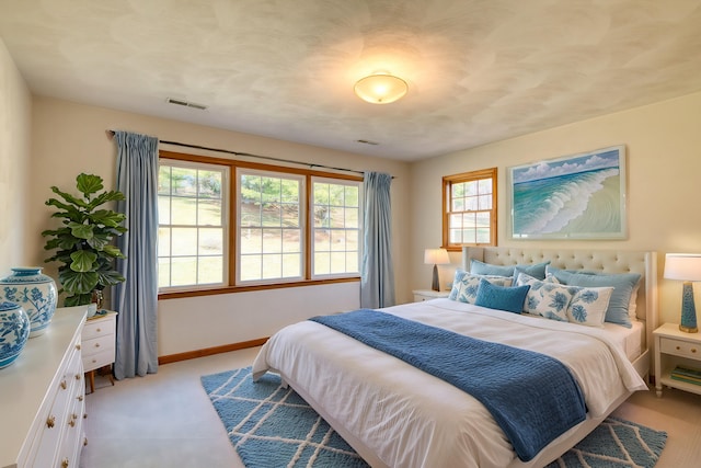 195 Showalter Rd NW, Willis, VA 24380 - bedroom featuring light colored carpet and multiple windows