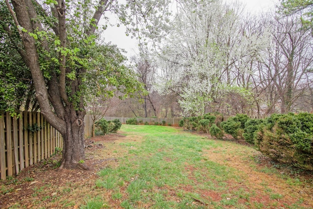 view of yard featuring a fenced backyard