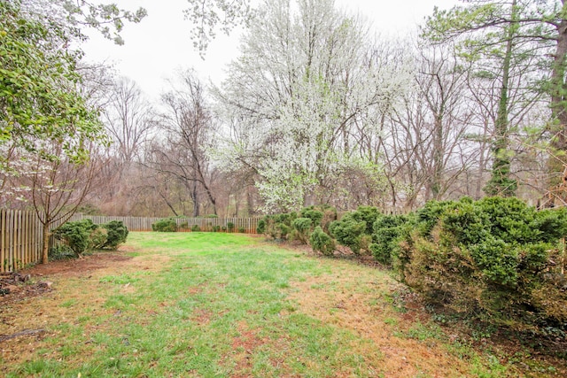 view of yard with a fenced backyard