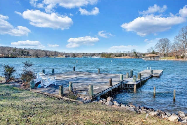 dock area with a water view