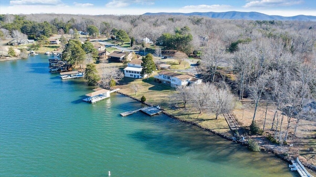 drone / aerial view with a view of trees and a water and mountain view