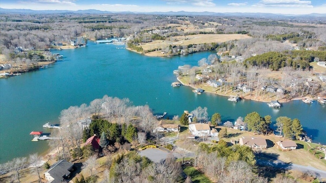aerial view with a water view and a view of trees