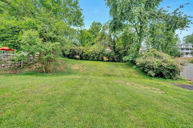 2619 Carolina Ave SW, Roanoke, VA 24014 - view of yard