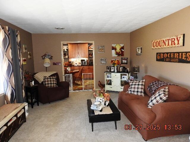 living room featuring light colored carpet
