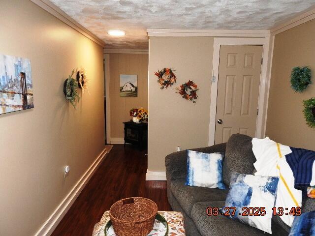 living area with baseboards, a textured ceiling, dark wood-style floors, and ornamental molding