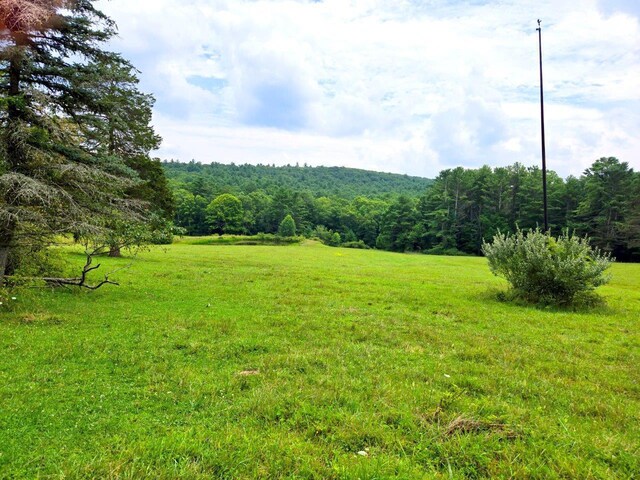 0 Kates Mountain Rd, White Sulphur Springs, WV 24986