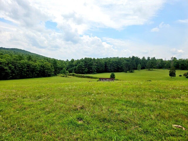 0 Kates Mountain Rd, White Sulphur Springs, WV 24986