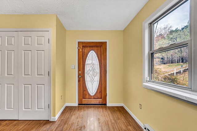 entrance foyer featuring baseboards, a textured ceiling, light wood-type flooring, and plenty of natural light
