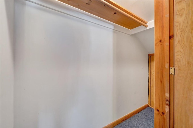 spacious closet with carpet flooring