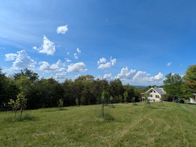 475 Loss Bent Rd NW, Riner, VA 24149 - view of green lawn