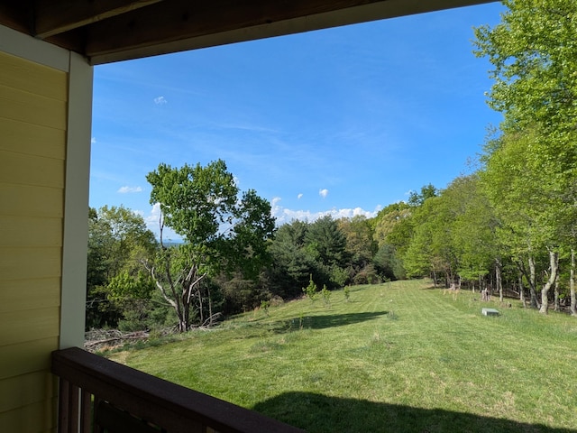 475 Loss Bent Rd NW, Riner, VA 24149 - view of green lawn