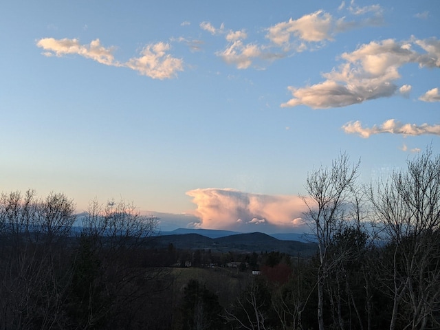 475 Loss Bent Rd NW, Riner, VA 24149 - view of mountain backdrop
