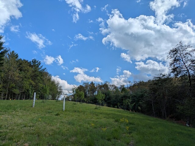 475 Loss Bent Rd NW, Riner, VA 24149 - view of yard featuring a forest view