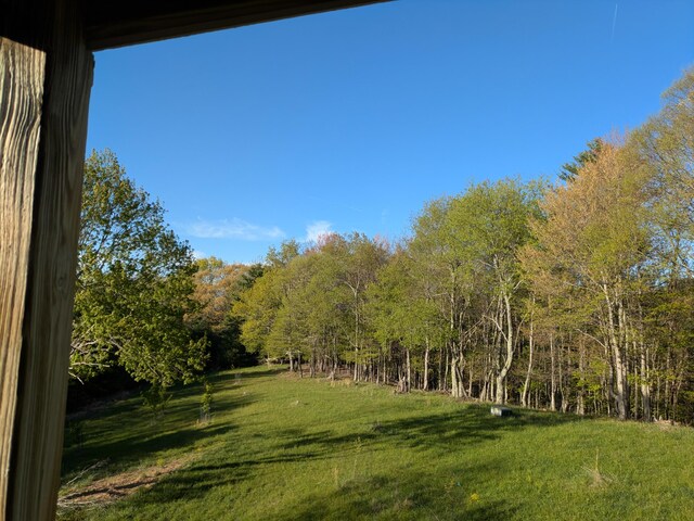 475 Loss Bent Rd NW, Riner, VA 24149 - view of community with a lawn and a wooded view