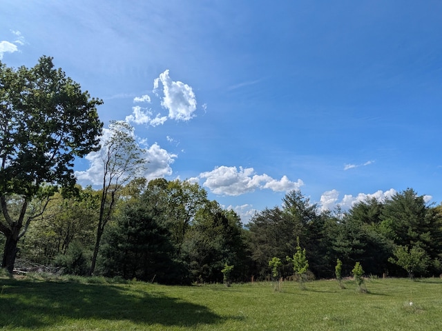 475 Loss Bent Rd NW, Riner, VA 24149 - view of green lawn featuring a forest view