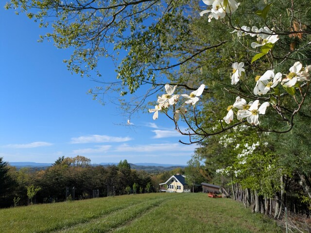 475 Loss Bent Rd NW, Riner, VA 24149 - view of yard