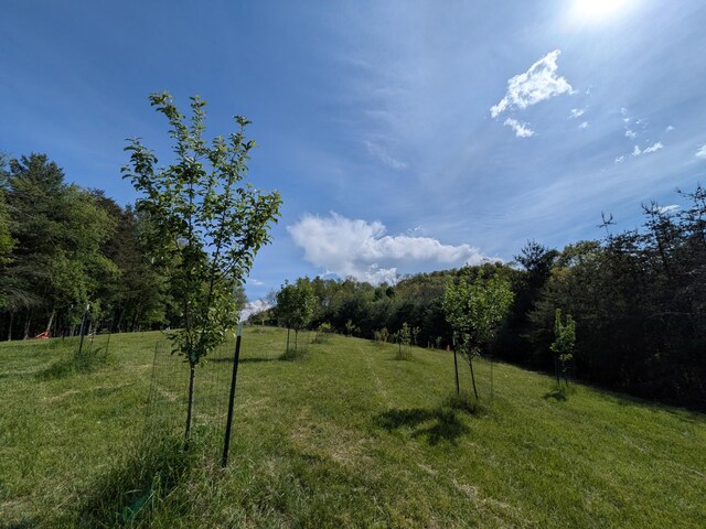 475 Loss Bent Rd NW, Riner, VA 24149 - view of green lawn featuring a view of rural / pastoral area