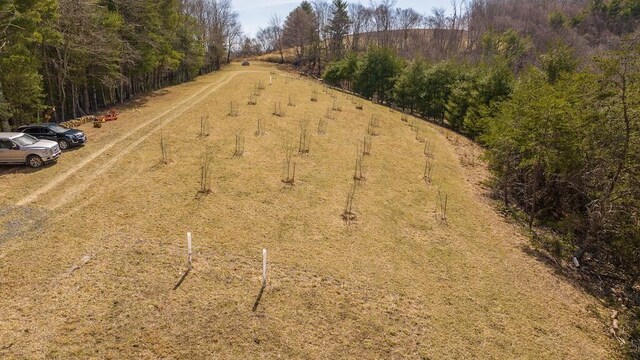 475 Loss Bent Rd NW, Riner, VA 24149 - drone / aerial view