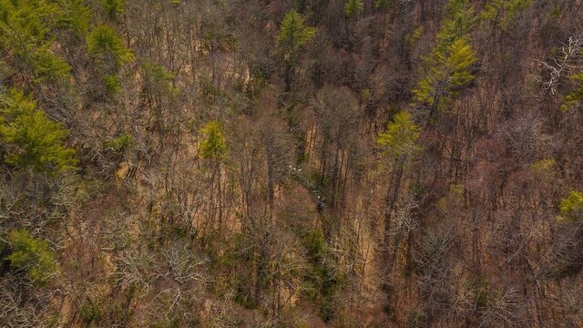 475 Loss Bent Rd NW, Riner, VA 24149 - drone / aerial view