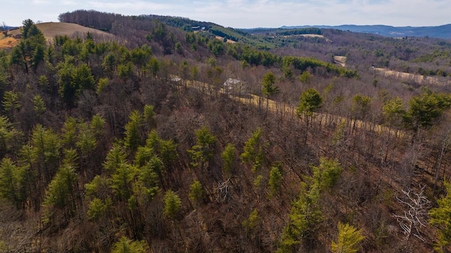 475 Loss Bent Rd NW, Riner, VA 24149 - mountain view featuring a forest