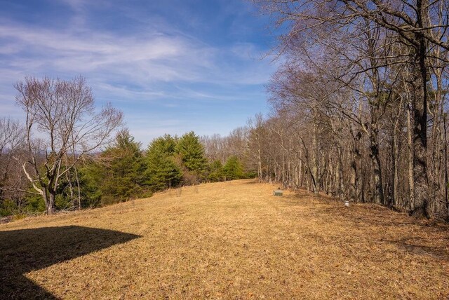 475 Loss Bent Rd NW, Riner, VA 24149 - view of yard with a view of trees
