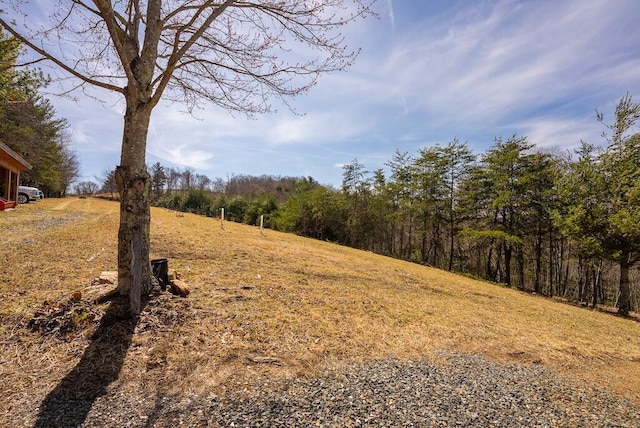 475 Loss Bent Rd NW, Riner, VA 24149 - view of yard featuring a wooded view