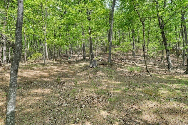 view of local wilderness with a wooded view