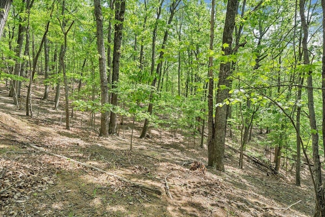 view of landscape with a forest view