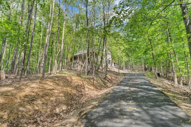 view of street featuring driveway and a wooded view