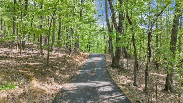view of street with a forest view