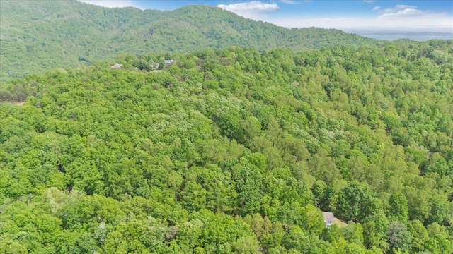 drone / aerial view featuring a wooded view and a mountain view