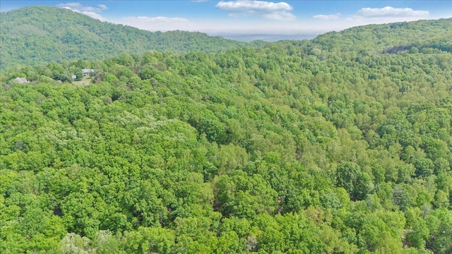 birds eye view of property with a wooded view and a mountain view