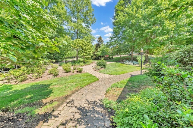 view of property's community featuring a lawn