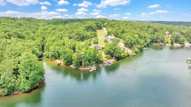 birds eye view of property featuring a water view and a wooded view