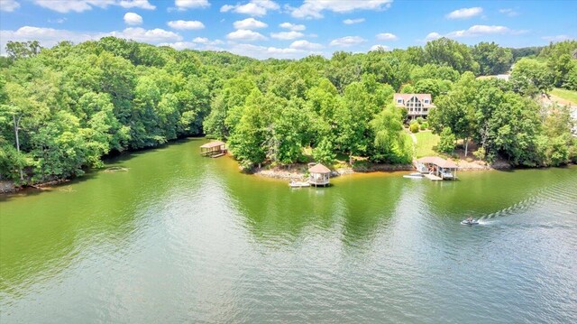 birds eye view of property featuring a water view and a forest view
