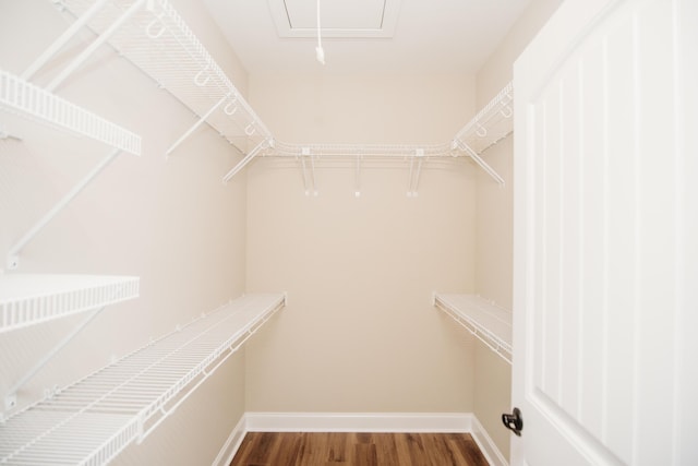 spacious closet featuring wood finished floors
