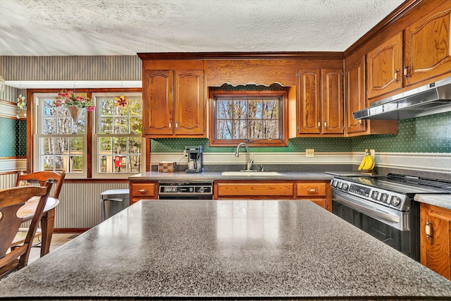 kitchen featuring a sink, stainless steel electric range, a center island, wainscoting, and under cabinet range hood