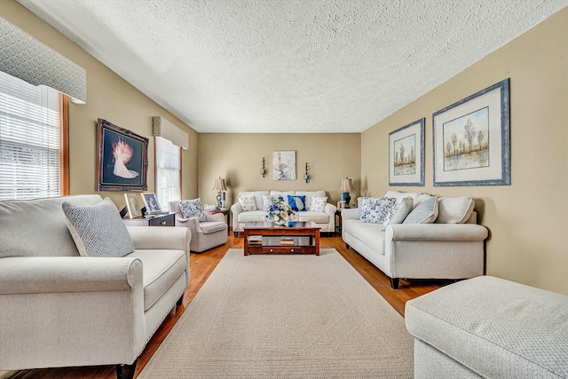 living area featuring a textured ceiling and wood finished floors