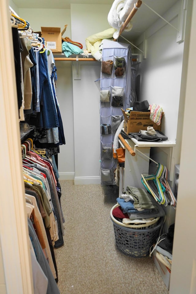 walk in closet featuring carpet