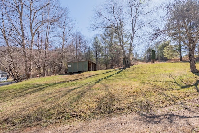 view of yard with an outbuilding and a pole building