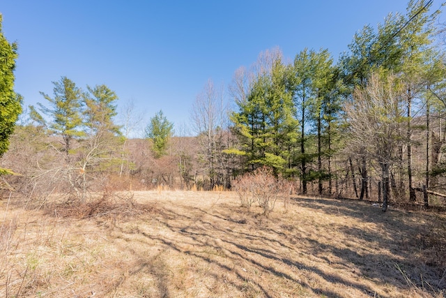 view of local wilderness