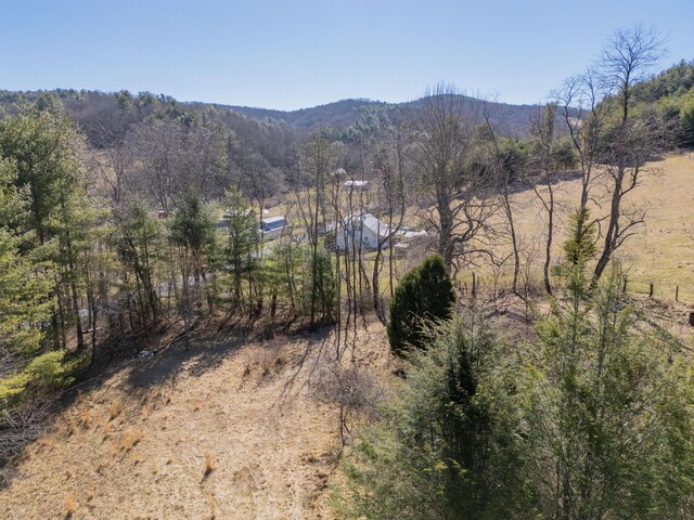 view of mountain feature featuring a wooded view