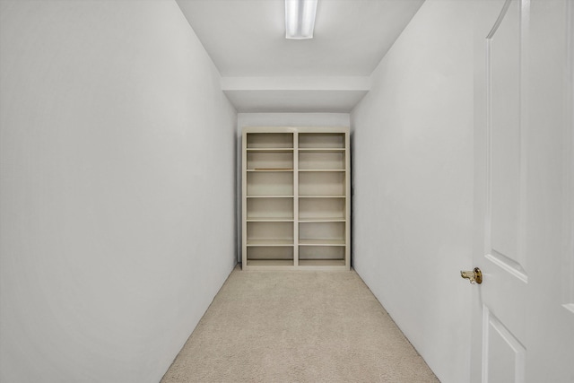spacious closet with light colored carpet