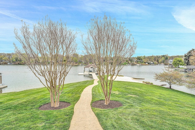 view of yard with a dock and a water view