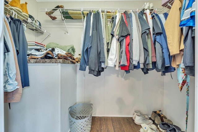 spacious closet featuring wood finished floors