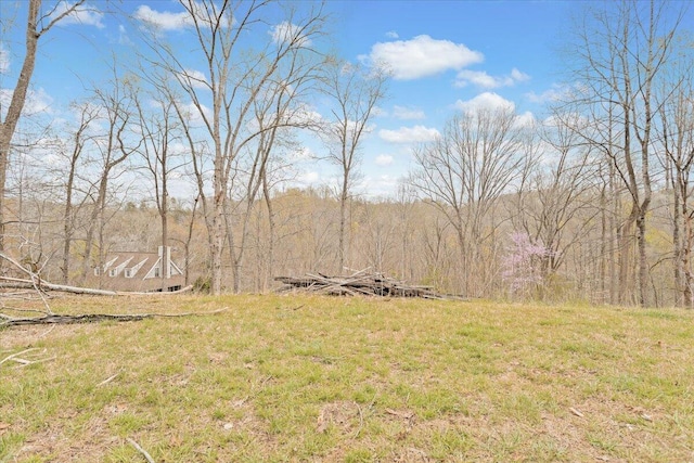 LOT82 Lakeshore Terrace Rd, Hardy, VA 24101
