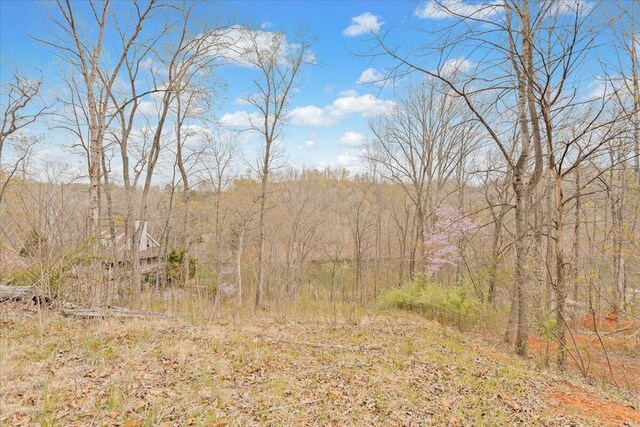 LOT82 Lakeshore Terrace Rd, Hardy, VA 24101