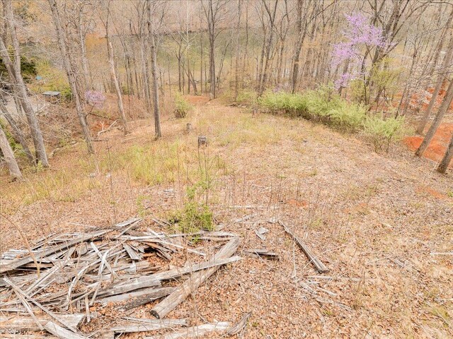 LOT82 Lakeshore Terrace Rd, Hardy, VA 24101